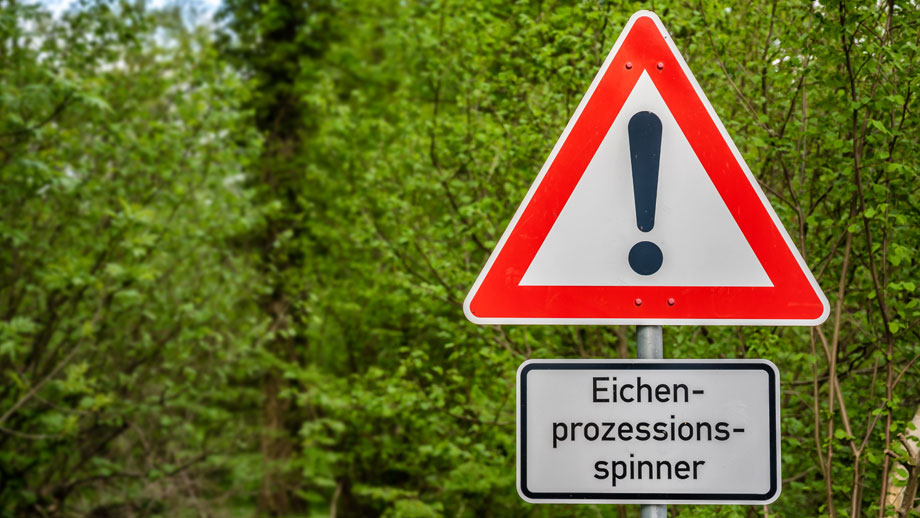 Warnhinweis Eichenprozessionsspinner